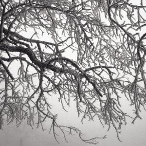 Winter Nr. 2