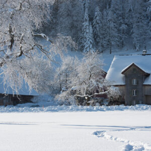 Winter Nr. 38