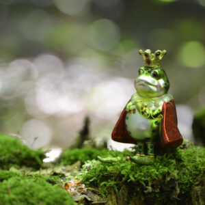 Xmas frog