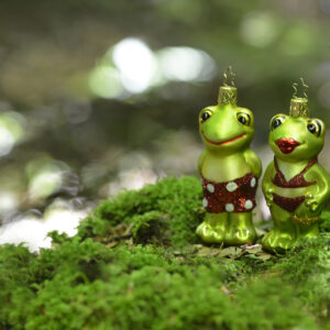 Xmas frogs