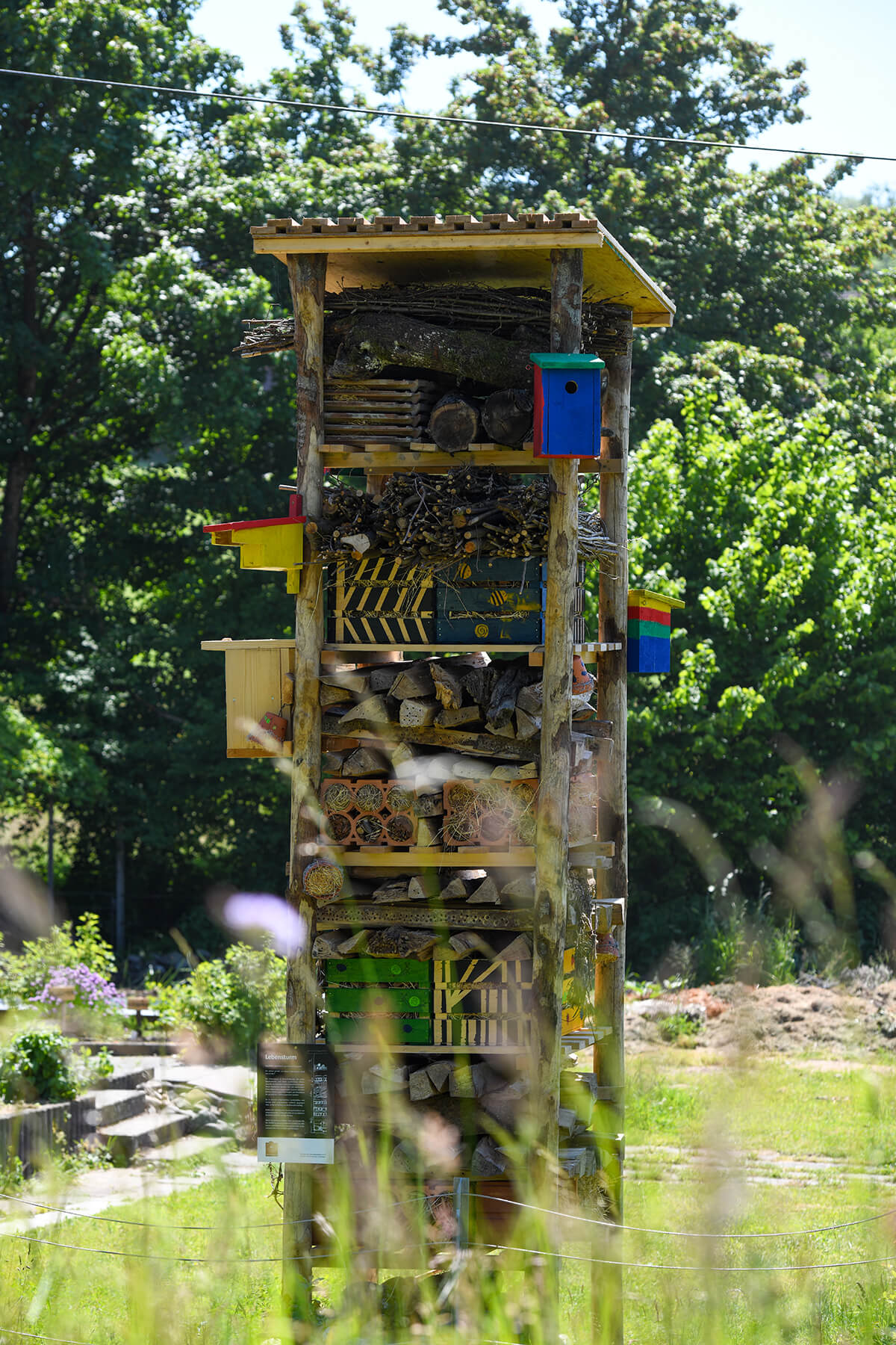 Architekturfotografie Heilpädagogisches Zentrum Hagendorn Garten Insekten 