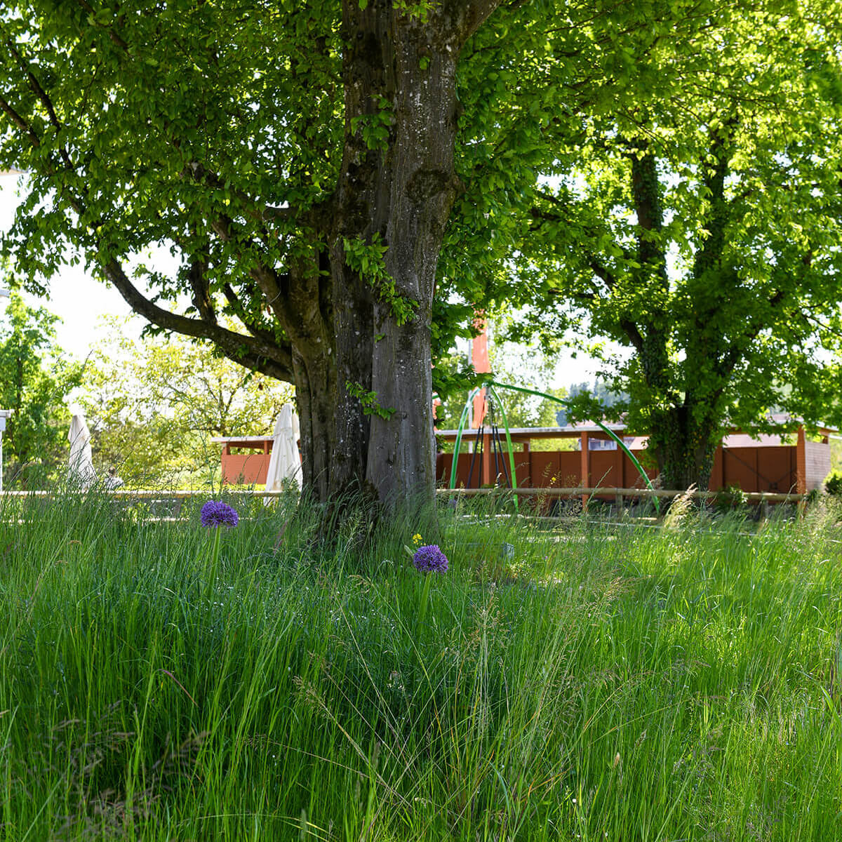 Architekturfotografie heilpädagogisches institut hagendorn garten