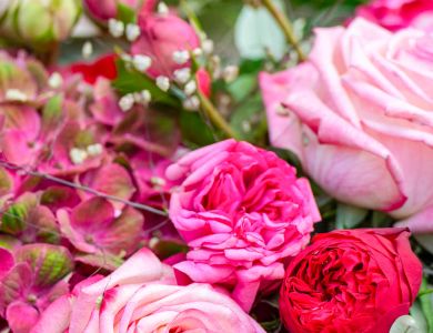 Blumengrusskarte in den Farben rosa und grün, als Postkarte erhältlich